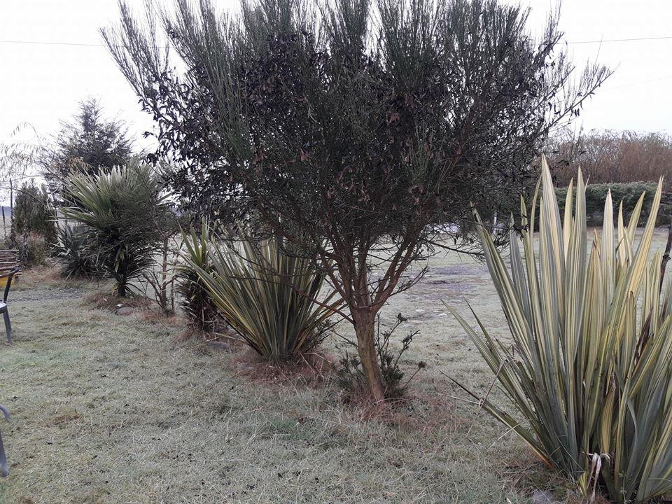 Lodge Guarida Del Trauco Puqueldon 外观 照片